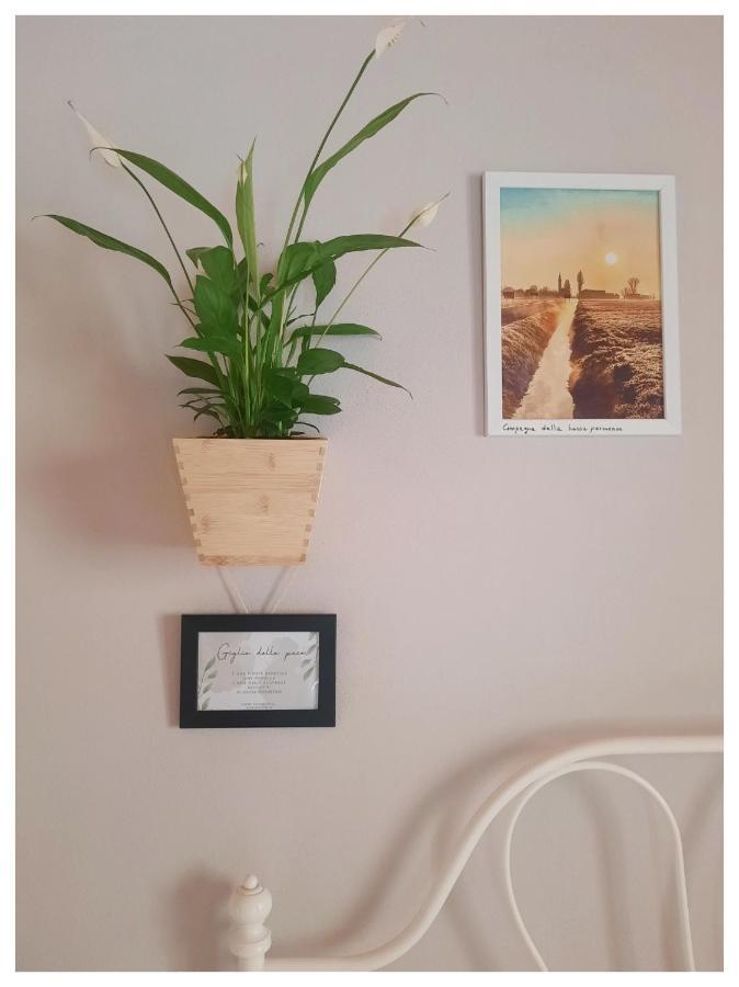 La Casina Bed and Breakfast Trecasali Εξωτερικό φωτογραφία