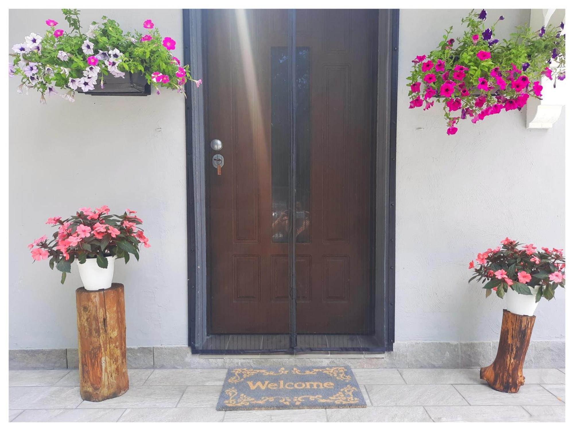 La Casina Bed and Breakfast Trecasali Εξωτερικό φωτογραφία